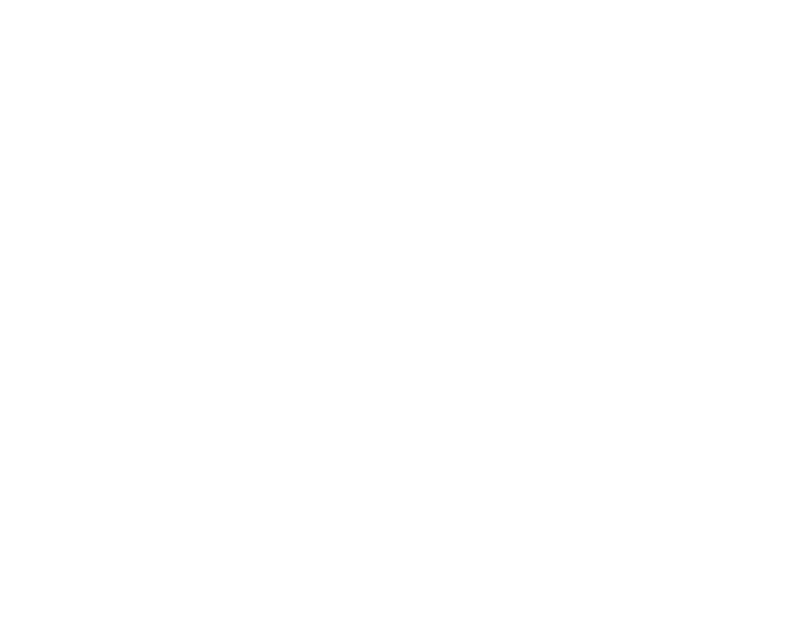 ПИР 2019-лого