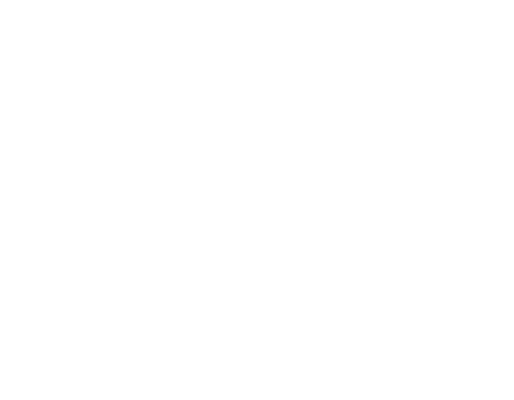 Novel-лого