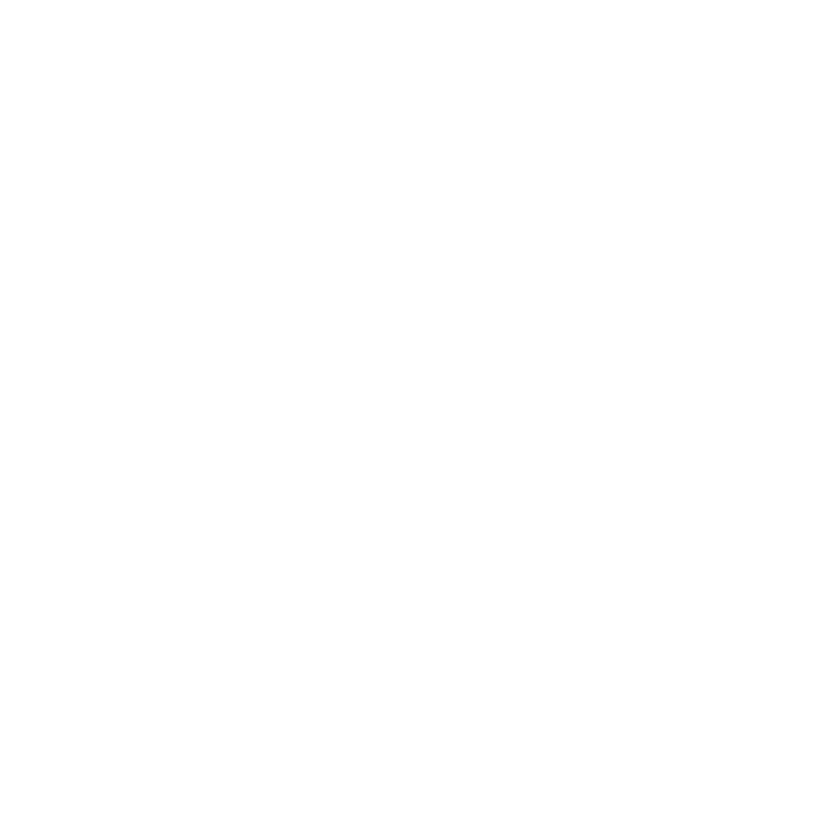 BUTCH & DUTCH-лого